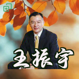 王振宇